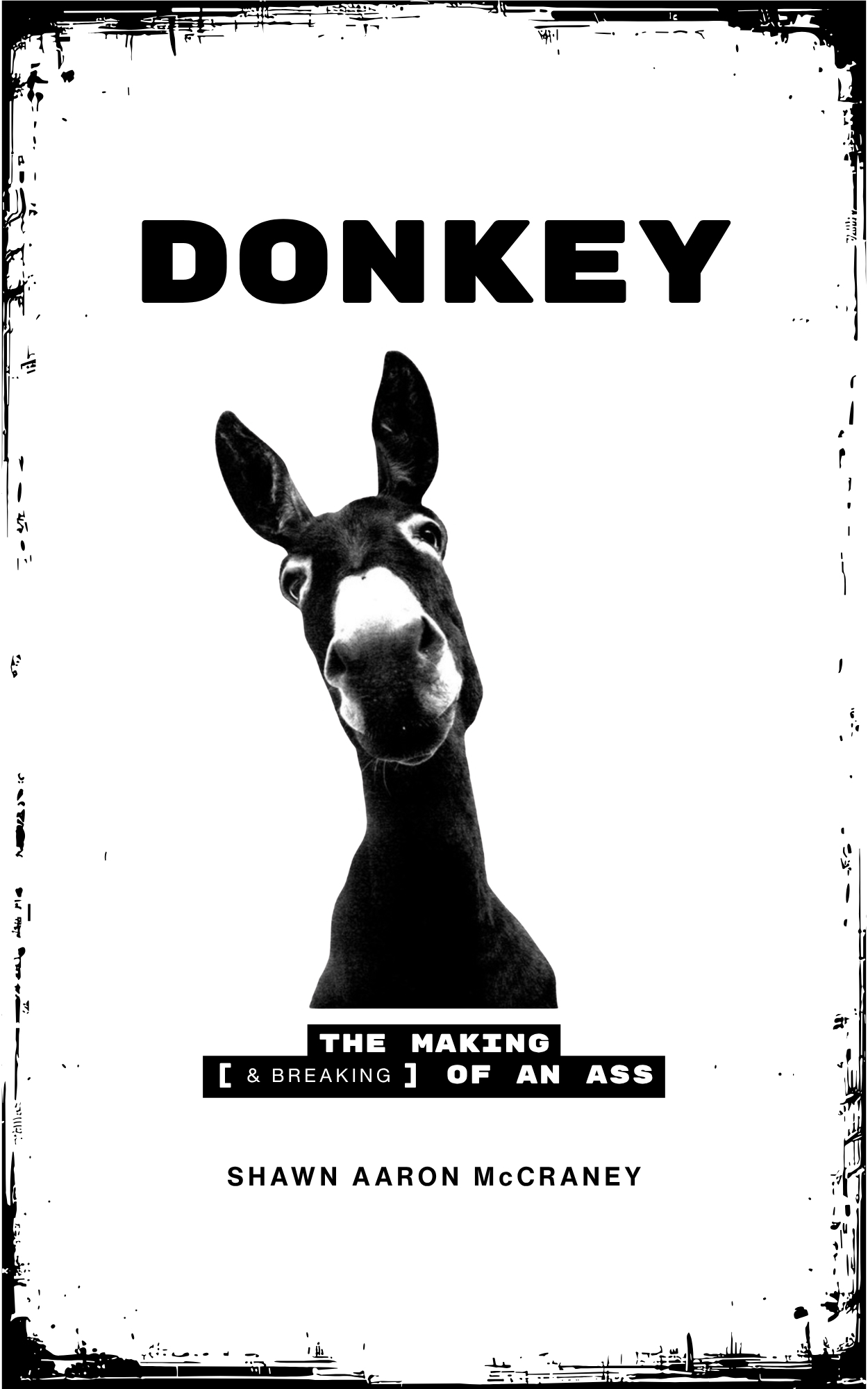 Cover of Donkey