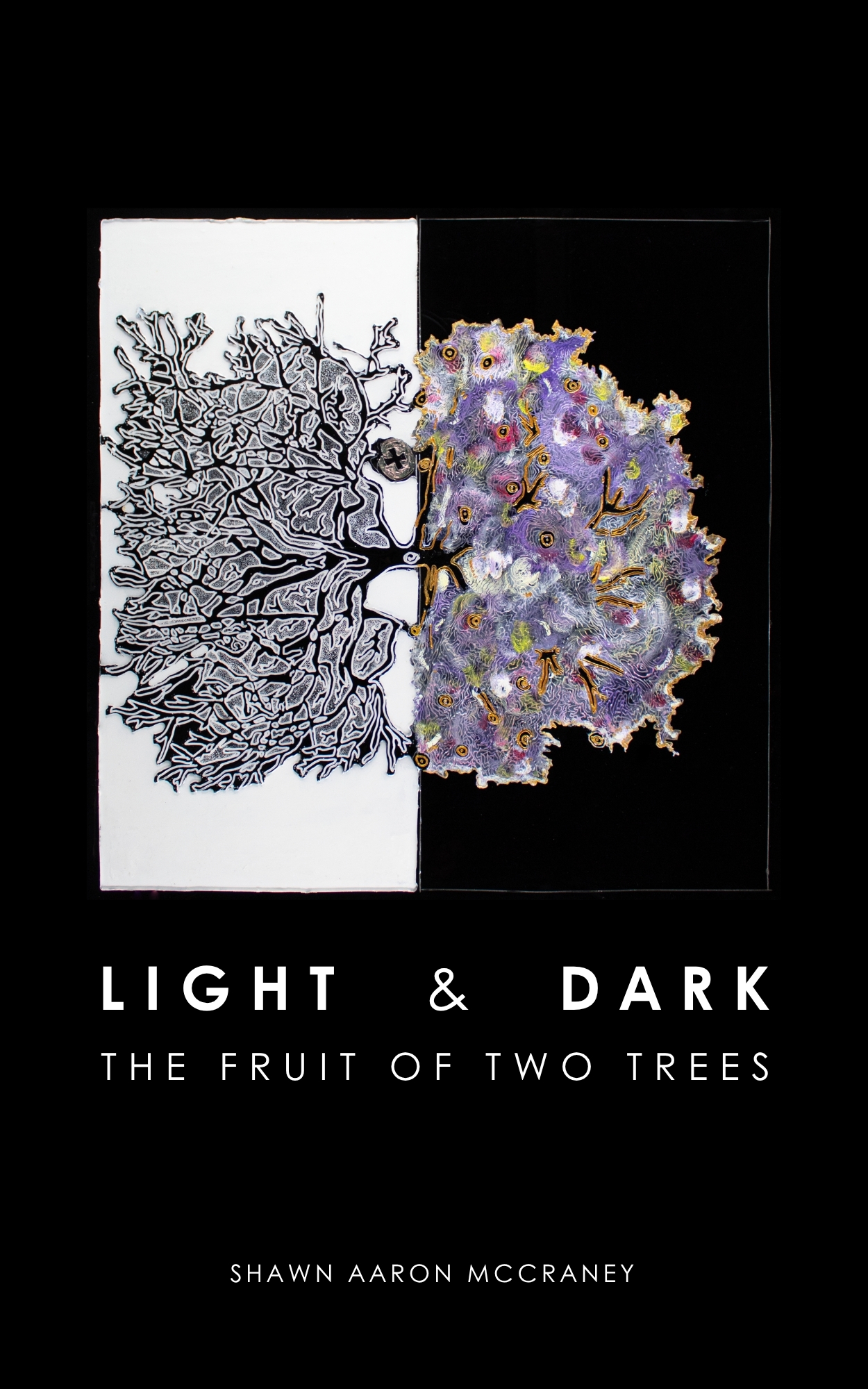 Cover of Light and Dark