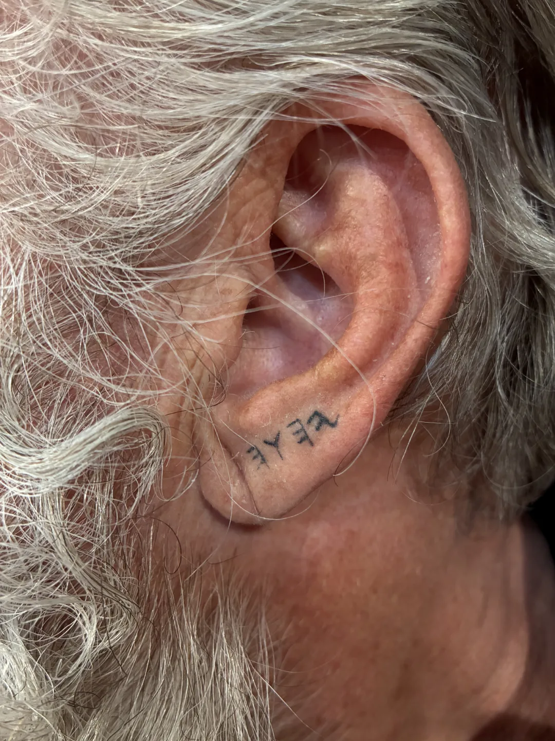 Ear